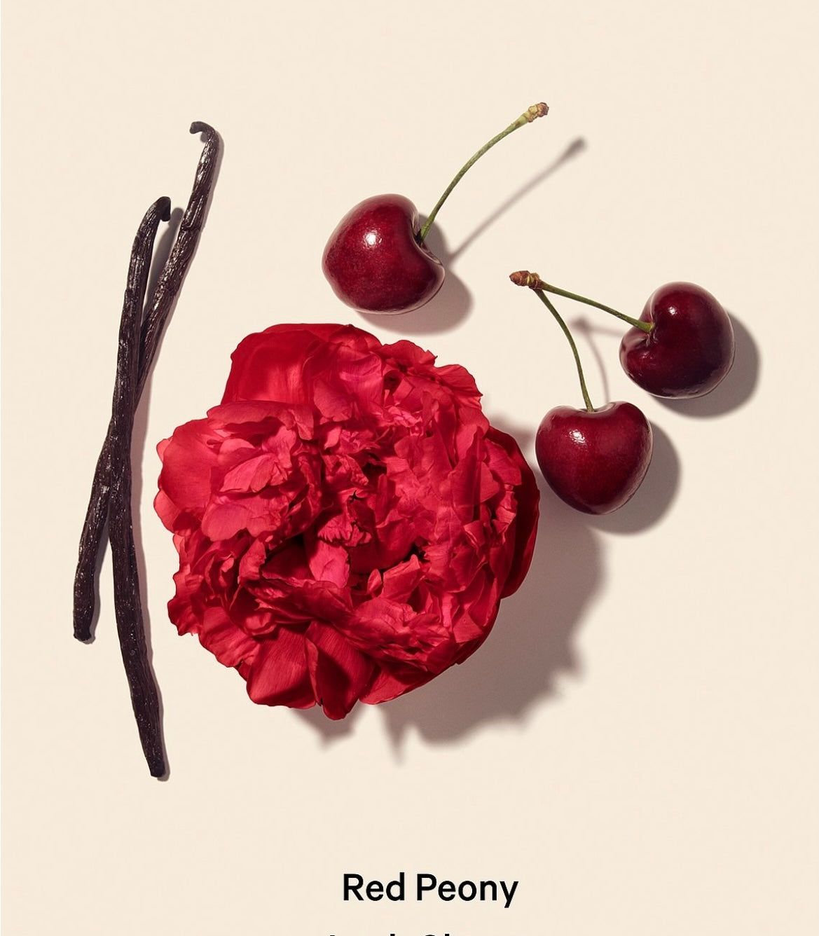 Victoria Secret Bombshell Intense Crema Corporal perfumada 250ml / 8.4 oz