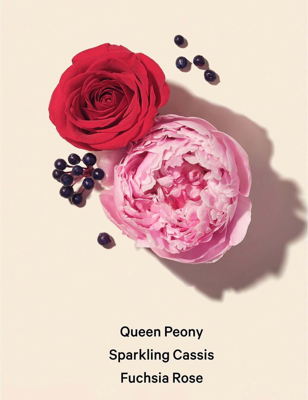 Victoria Secret Bombshell pasión Mist Fragancia de perfume  Corporal  250ml / 8.4 oz liquidas.