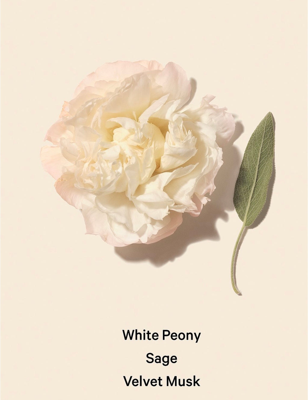 Victoria Secret Bombshell Seduction Crema Corporal perfumada 250ml / 8.4 oz